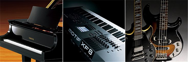 钱柜777乐器