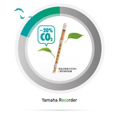 钱柜777全新植物塑胶竖笛