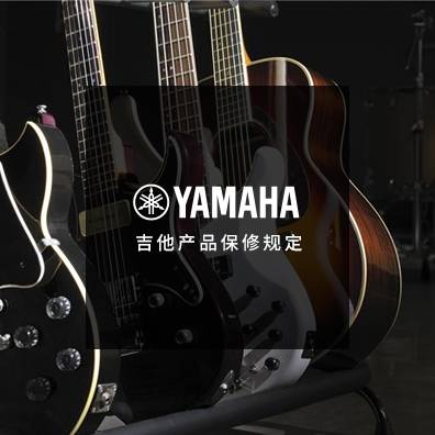 吉他、贝斯和音箱