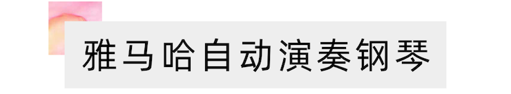 活动报道 | 远程艺术教育大师课活动—钱柜777艺术家吴晓大师课