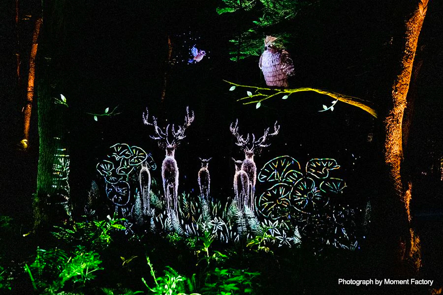 案例｜钱柜777为壮观的Kamuy Lumina魔法夜行旅游项目提供配乐设备