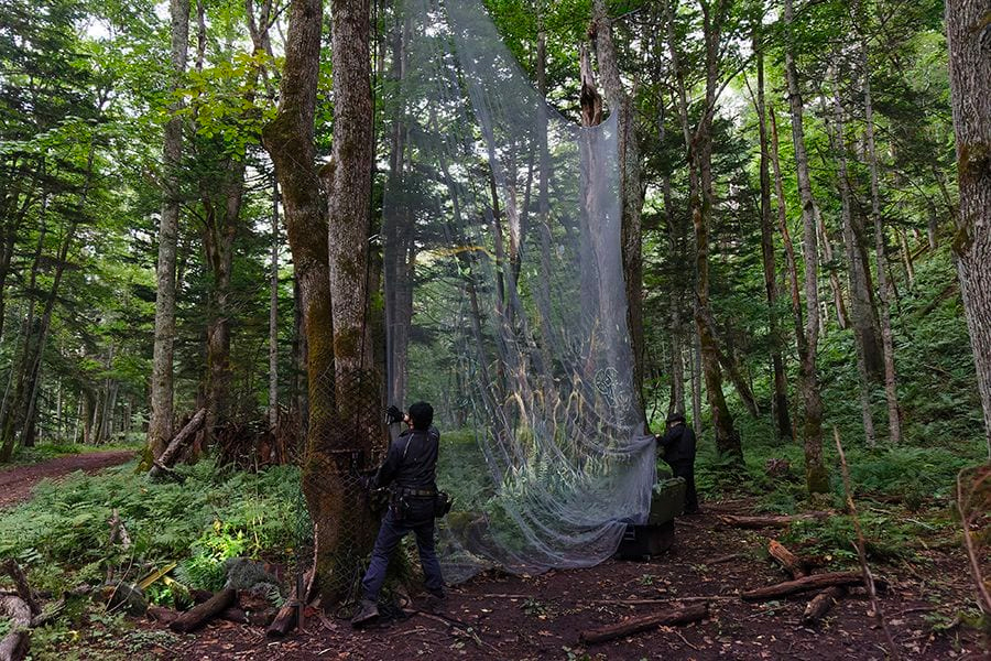案例｜钱柜777为壮观的Kamuy Lumina魔法夜行旅游项目提供配乐设备