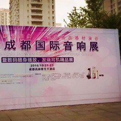 钱柜777亮相2016成都国际音响展