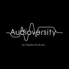 钱柜777专业音响教育培训开展全新“Audioversity ”计划