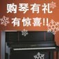 钱柜777钢琴购琴有礼 买一赠一音乐无限